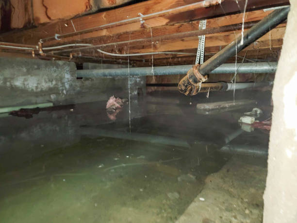 Best 24-hour water damage restoration  in Guilford Center, CT